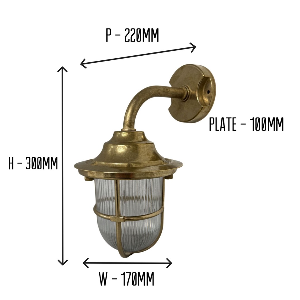 Quinn Guard Wall Lantern