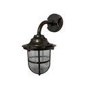 Quinn Guard Wall Lantern