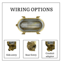 Small Siren Wiring Options