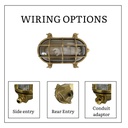 Horatio Wiring Options
