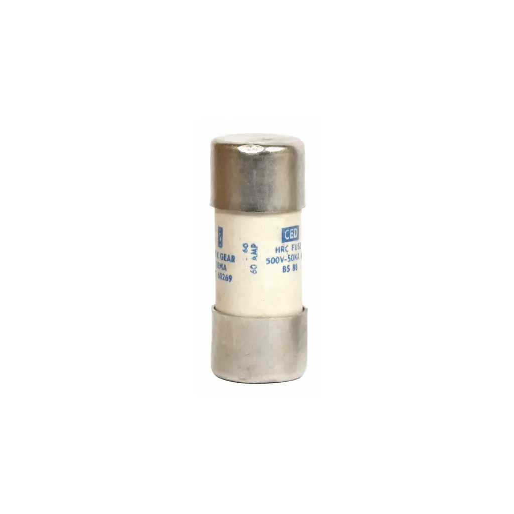 [10147] Consumer Unit Fuse, Diameter - 22.2mm Diameter x 55mm Height (60A)