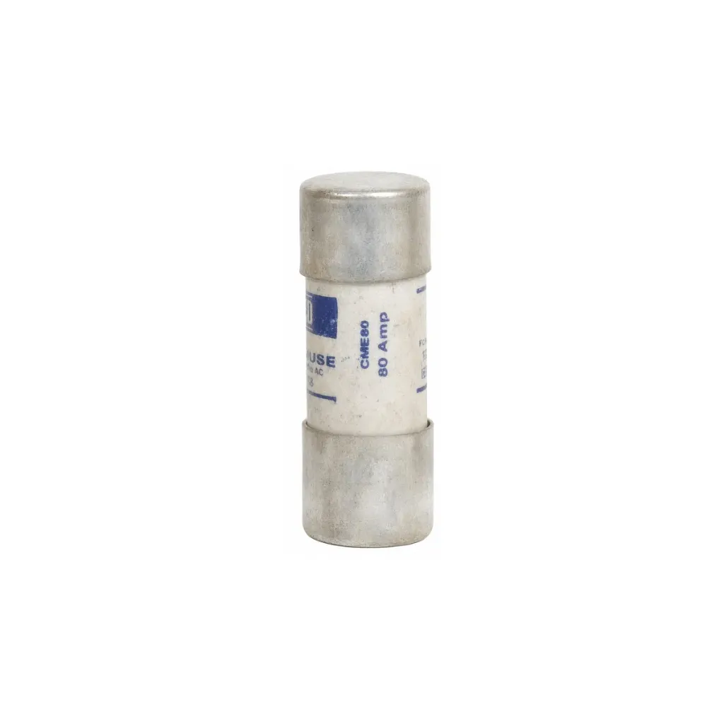 Consumer Unit Fuse, Diameter - 22.2mm Diameter x 55mm Height