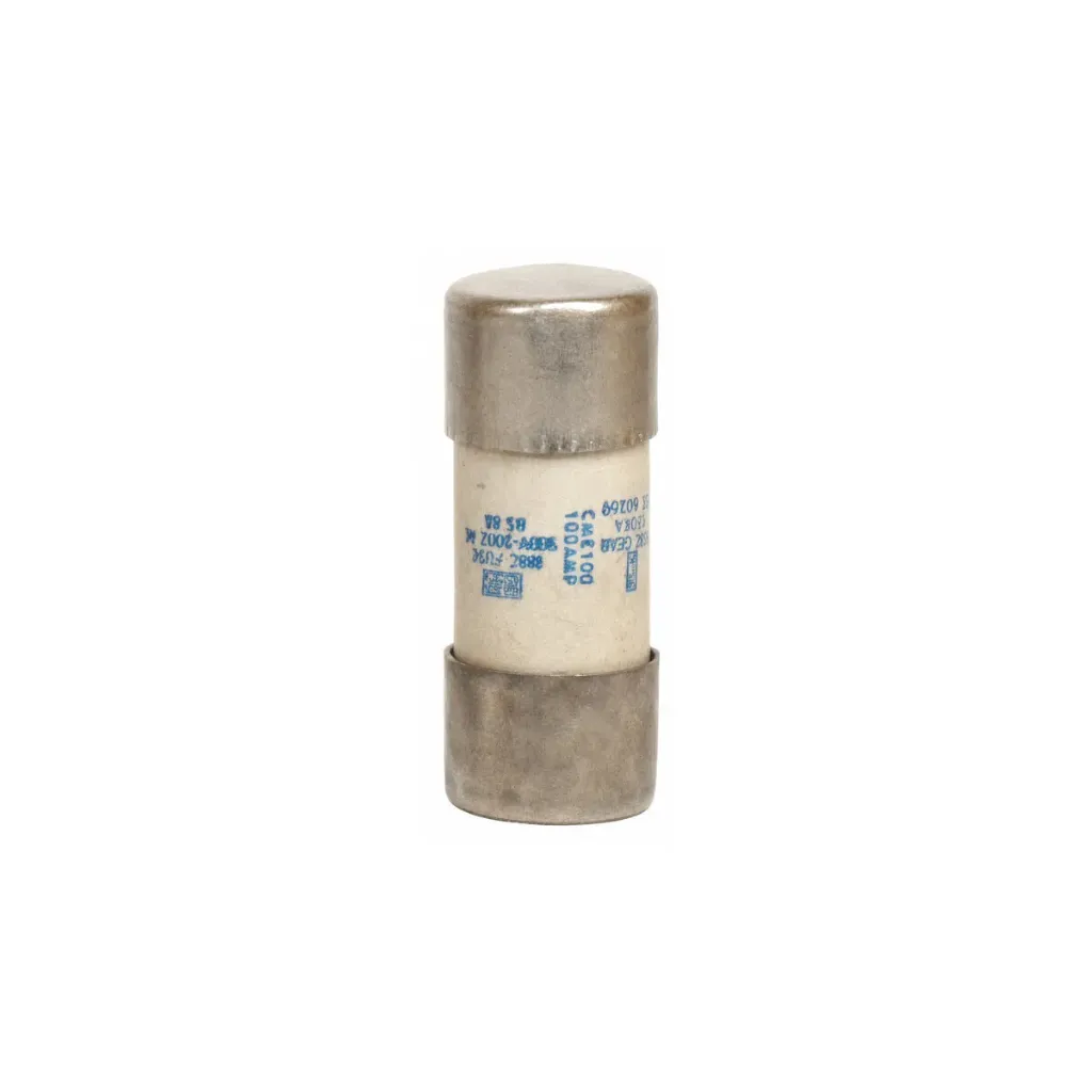 Consumer Unit Fuse, Diameter - 22.2mm Diameter x 55mm Height