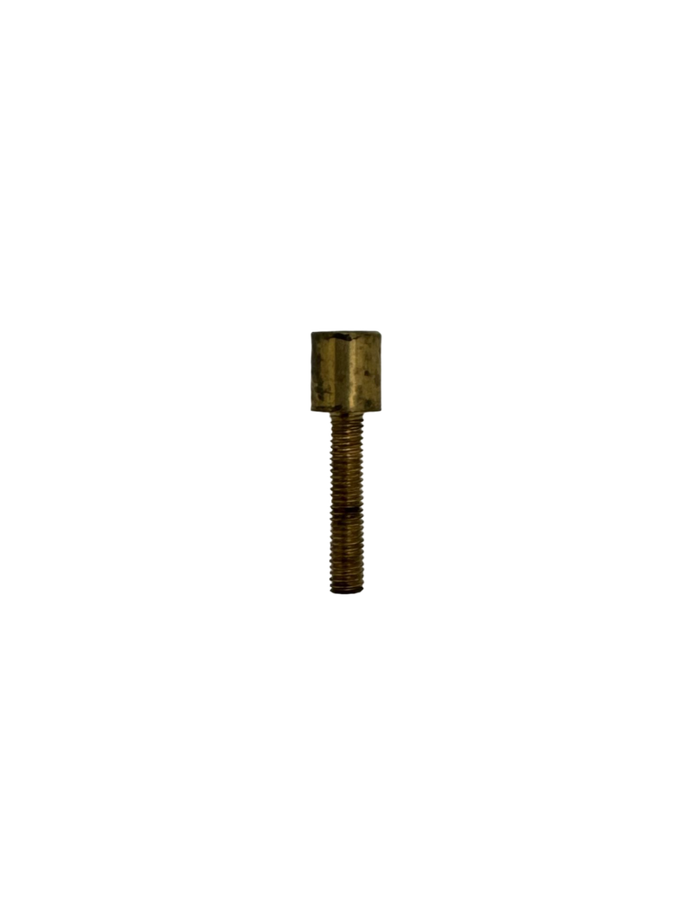 [05446] Brass Cylindrical Plain Head Screw (M3 - 15mm)
