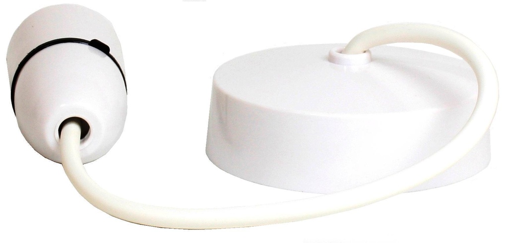 T2 Plastic Pendant