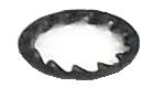 Serrated Washer with 10mm hole
