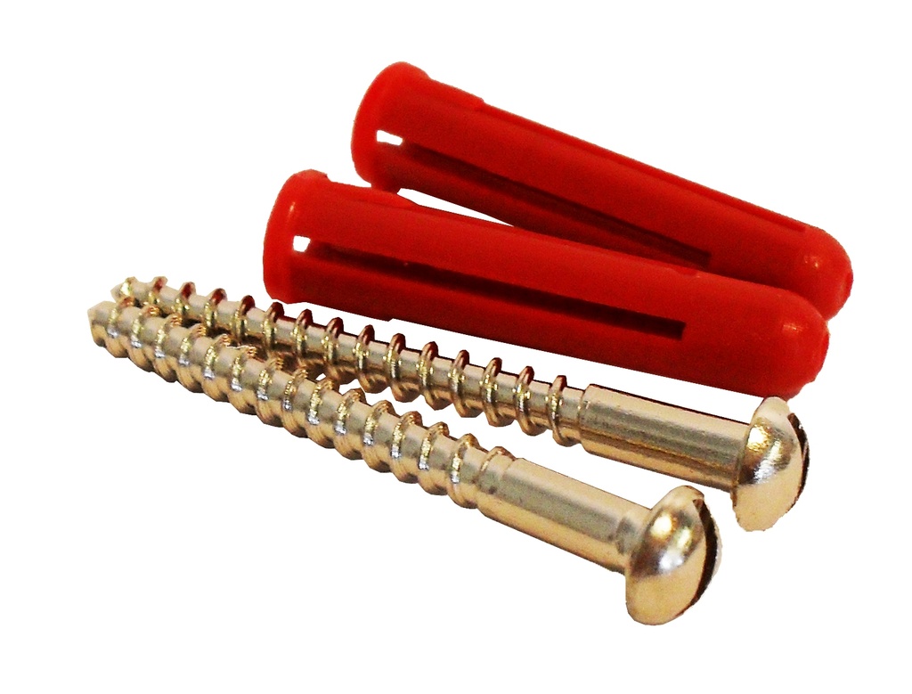 Fixing Pack - Dome Head Slotted Screw 2-Pack