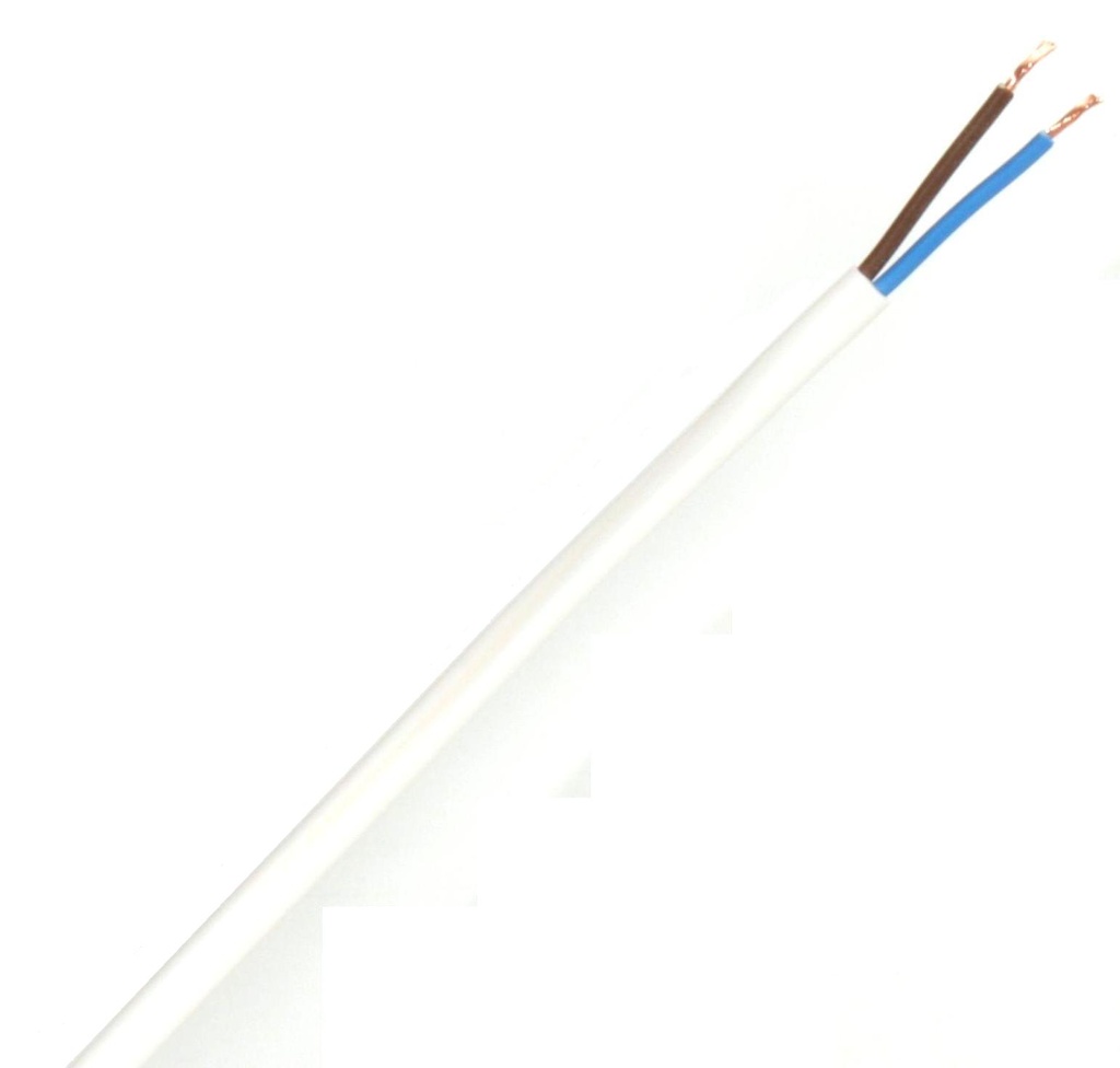 [01667] 2 Core Flat (Oval) Flex [2192Y] (0.5mm White)