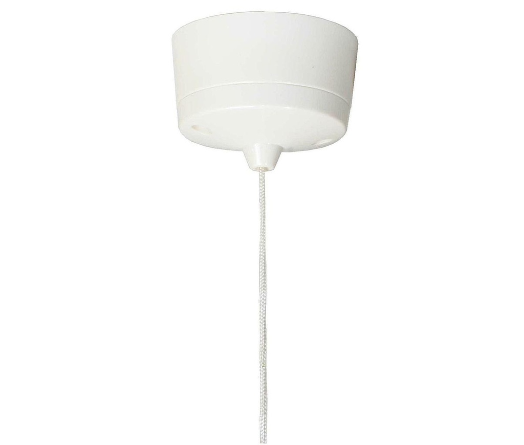 2 Way Plastic Bathroom Pull Cord Switch