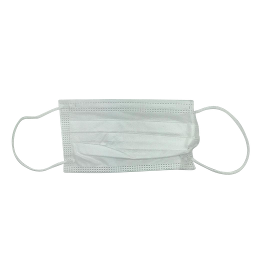 [08096] 3-ply Disposable Protective Mask