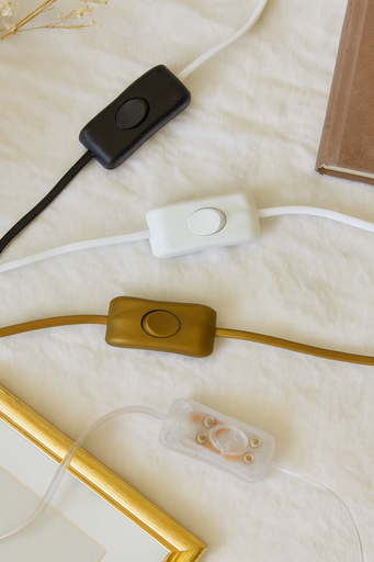 [Inline Switch] 2 Core Inline Switch 2A