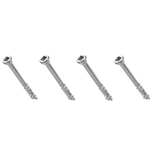 [Decking Screws] Stainless Steel Decking Screw No.7 200-Pack