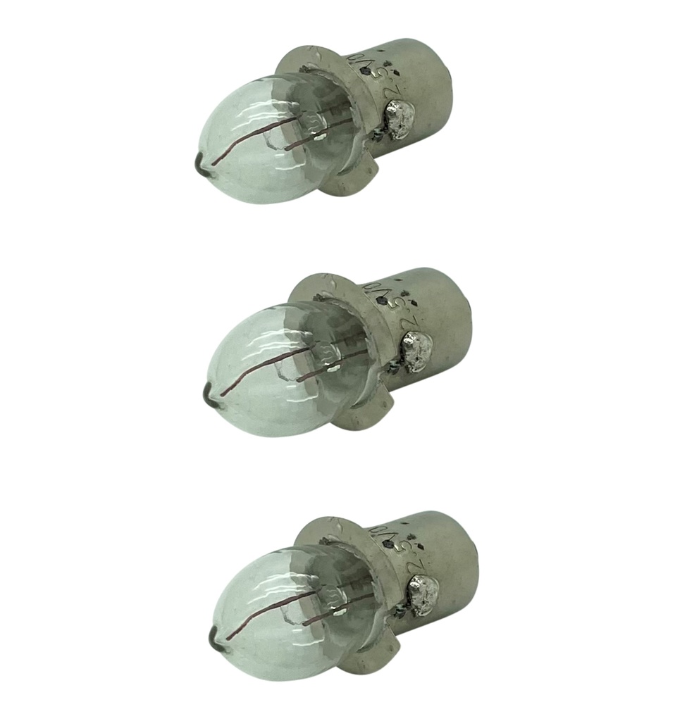 [Pre-Focused Torch Bulbs] P/F Torch Bulb