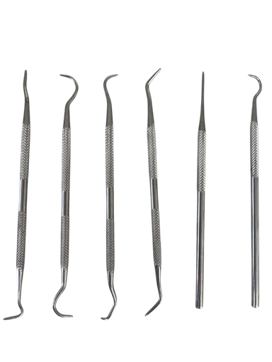 [07027] Dentist Probe Kit 6pc